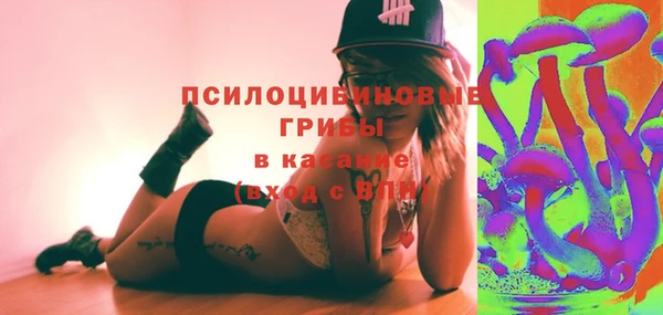 дурь Вяземский
