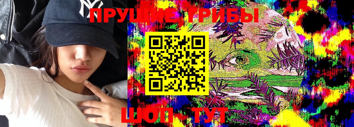 Дальнереченск  Галлюциногенные грибы GOLDEN TEACHER  Псилоцибиновые грибы мицелий  Вход с VPN 